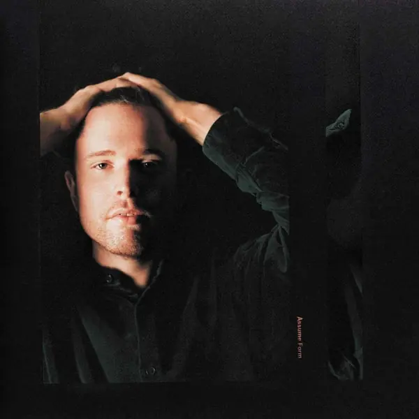Mega Sale James Blake - Assume Form (2 LPs)
