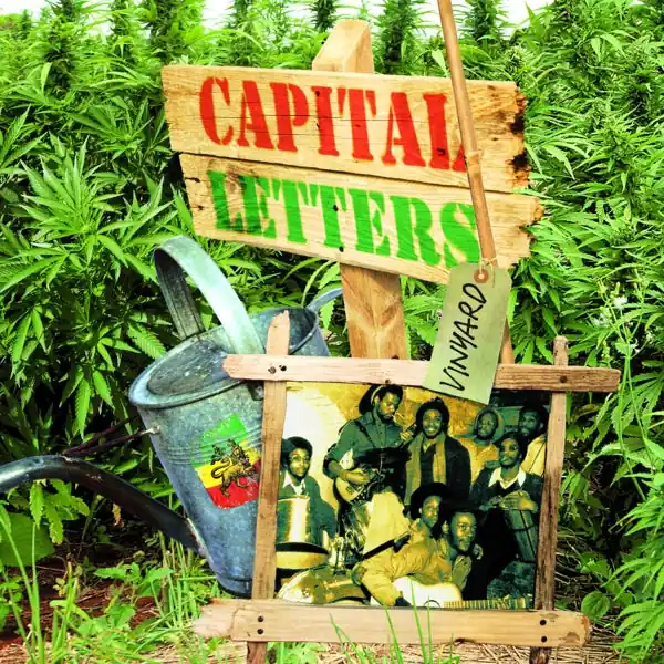 Budget Capital Letters - Vinyard (LP)