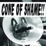 Faith No More - Cone of Shame (Single) Super Sale