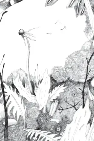 Back & Forth - Time Whispers (LP) Clearance