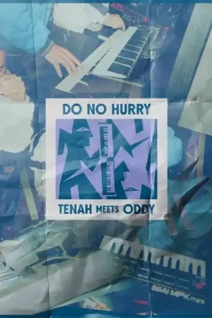 Tenah Meets Oddy - Do No Hurry (LP) Direct From Manufacturer