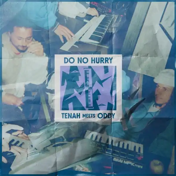Tenah Meets Oddy - Do No Hurry (LP) Direct From Manufacturer