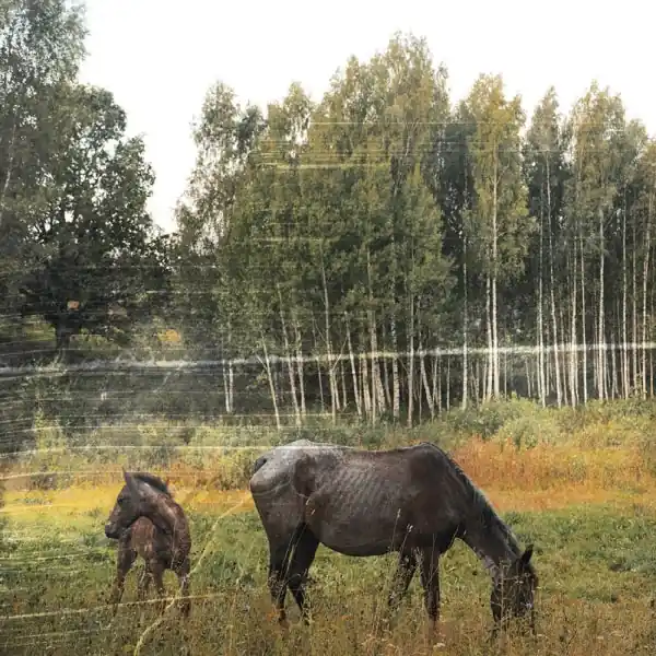 Final Sale Pianos Become the Teeth - Old Pride (LP)