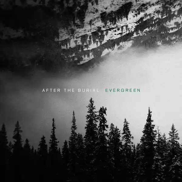 After the Burial - Evergreen (LP) Genuine