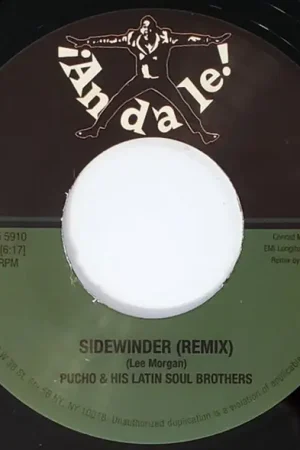 Professional Grade Pucho - the Sidewinder/Got Myself a Good Man (Single)