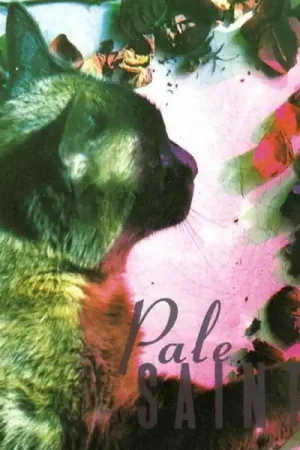 Pale Saints - Comforts of Madness (LP) Popular