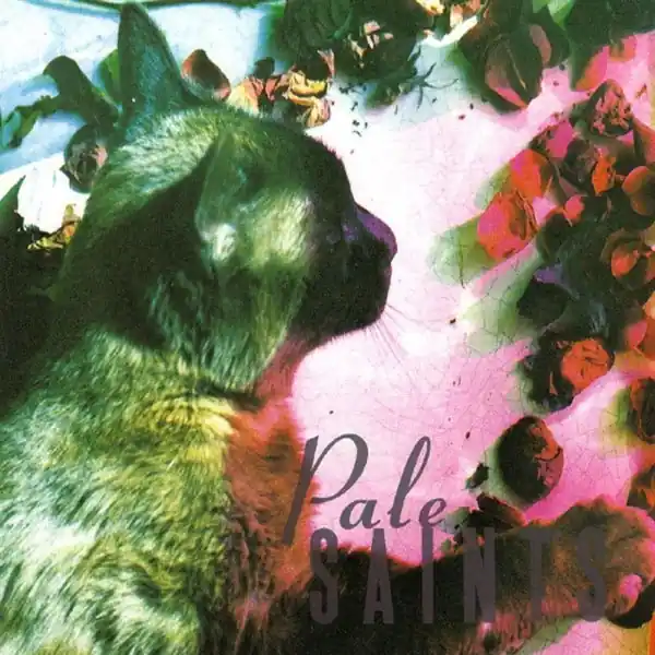 Pale Saints - Comforts of Madness (LP) Popular