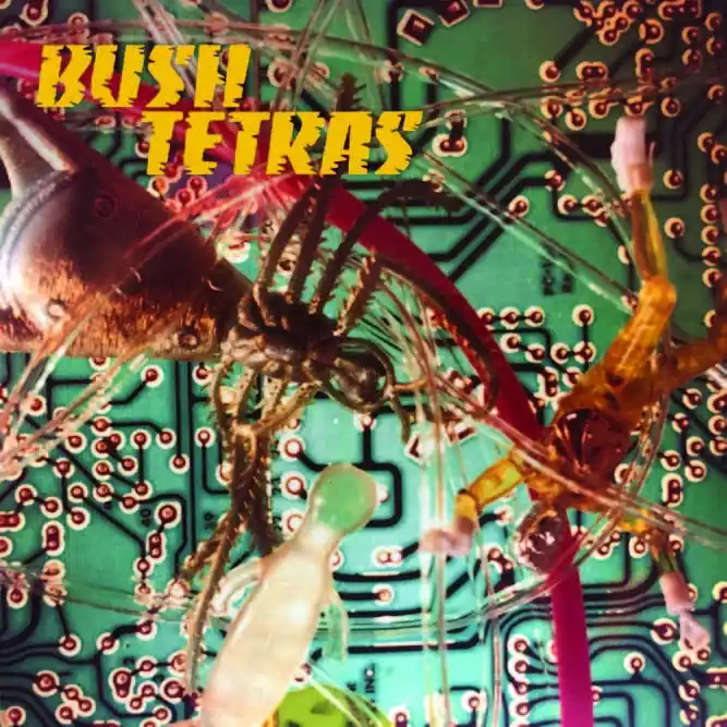 Warranty Included Bush Tetras - There is a Hum (Single)