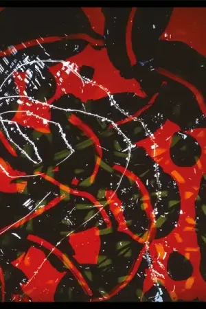 Best Price Brian Eno - Nerve Net (2 LPs)