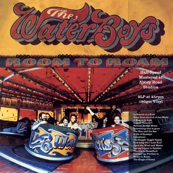 Bulk Order Waterboys - Room To Roam (2 LPs)