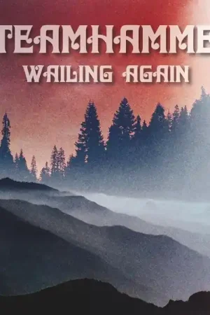 Steamhammer - Wailing Again (LP) Professional Grade