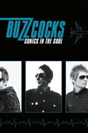 Buzzcocks - Sonics In the Soul (LP) Fan Favorite