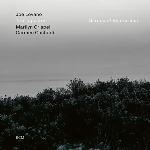 Joe -Trio Tapestry- Lovano - Garden of Expression (LP) Discount
