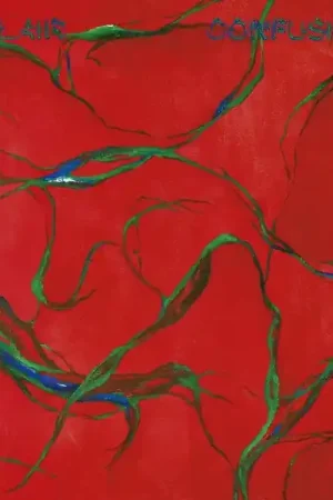 L'eclair - Confusions (2 LPs) Buy Today