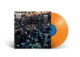 Discount Matthew & Leland Whitty Tavares - Visions (2 LPs)