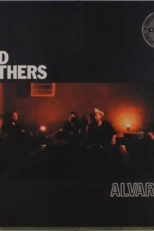 Bargain Wild Feathers - Alvarado (LP)