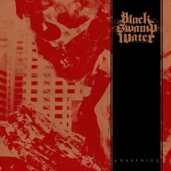 Exclusive Offer Black Swamp Water - Awakening (LP)