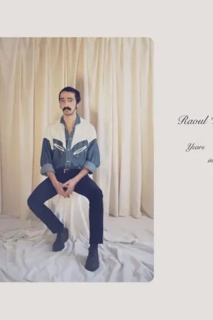 Warranty Included Raoul Vignal - Years In Marble (LP)