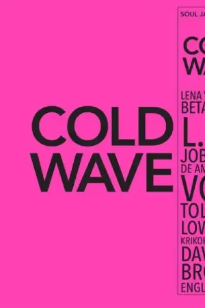 V/A - Cold Wave #2 (2 LPs) Exclusive Offer