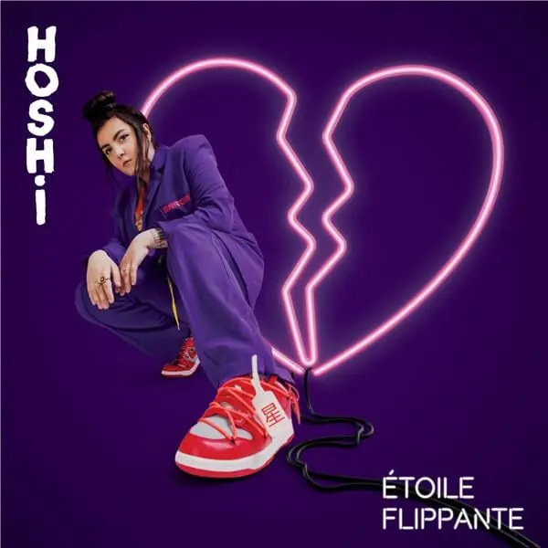 Fast Shipping Hoshi - Etoille Flippante (4 LPs)