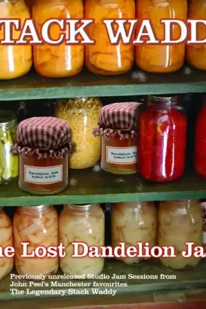 Stack Waddy - Lost Dandelion Jams (LP) Next Day Delivery