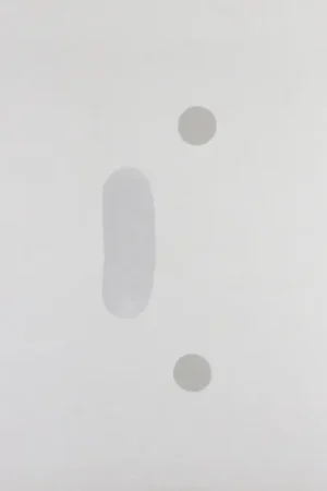 Price Drop Silicon - Personal Computer (LP)