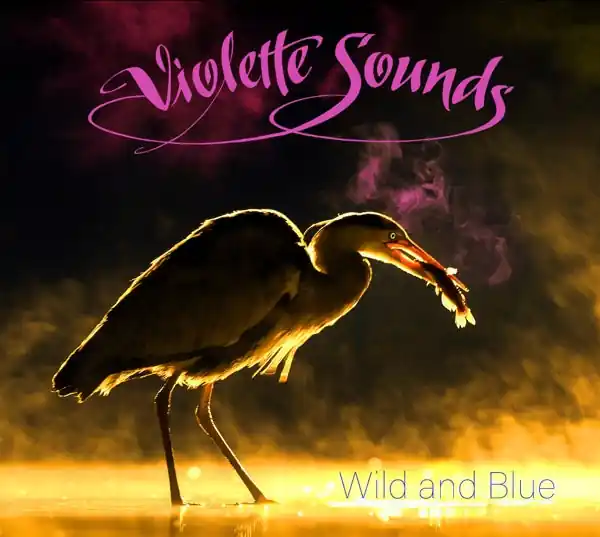 Violette Sounds - Wild and Blue (LP) Free Delivery