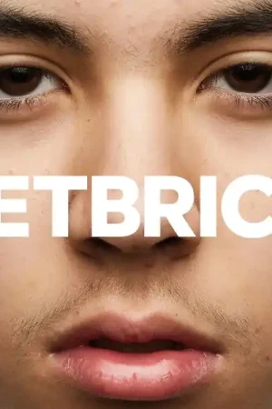 Petbrick - I (LP) Certified