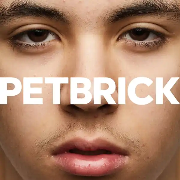 Petbrick - I (LP) Certified