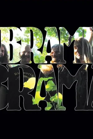 Buy Online Abramis Brama - Nar Tystnaden Lagt Sig (LP)