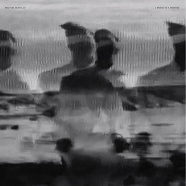 Authentic Routine Death - Two Weeks To 4 Months (LP)