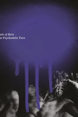 Best Choice the Psychedelic Furs - Made of Rain (2 LPs)