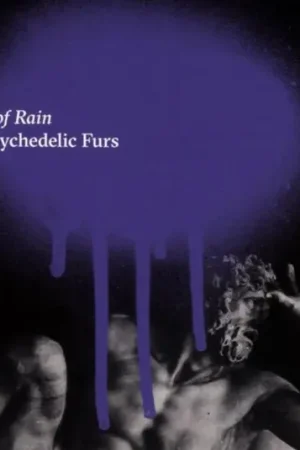 Psychedelic Furs - Made of Rain (2 LPs) While Supplies Last