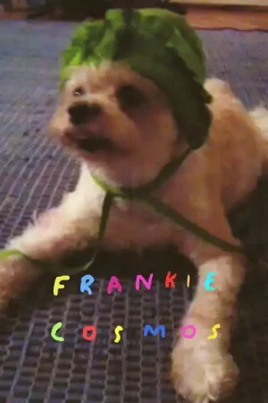 Frankie Cosmos - Zentropy (LP) Best Price