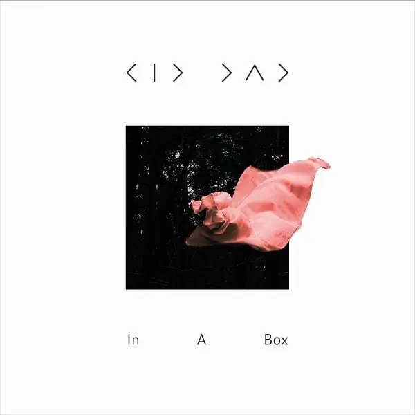 Kid Dad - In a Box (LP) Holiday Sale