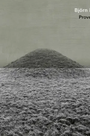 Authentic Bjorn Meyer - Provenance (LP)