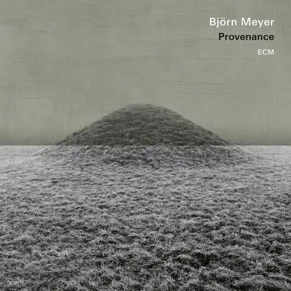 Authentic Bjorn Meyer - Provenance (LP)