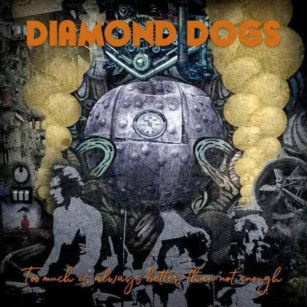 Diamond Dogs - Too Much is Always Better Than Not Enough (LP) Direct From Factory
