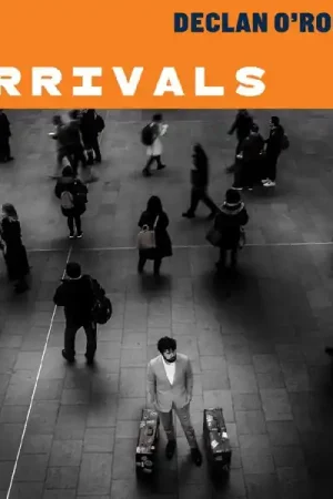 Buy Direct Declan O'Rourke - Arrivals (2 LPs)