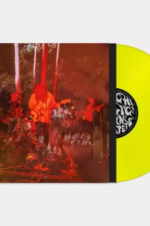 Psychedelic Porn Crumpets - Levitation Sessions (LP) Flash Sale