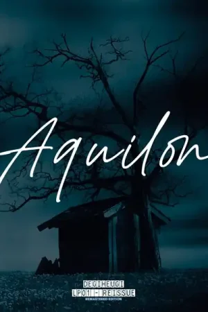 In Demand Degiheugi - Aquilon (2 LPs)