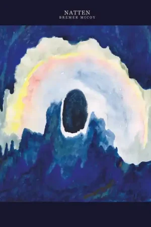 Top Pick Bremer/McCoy - Natten (LP)