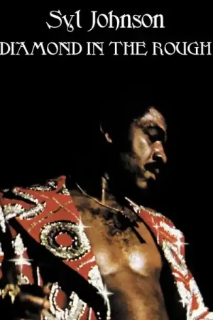Syl Johnson - Diamond In the Rough (LP) Free Returns
