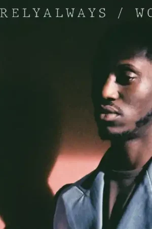 Hot Picks Rarelyalways - Work (LP)