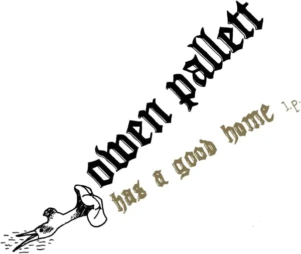Owen Pallett - Has a Good Home (LP) Luxury
