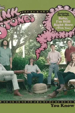 Order Now Pink Stones - You Know Who (LP)