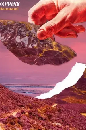 Warranty Included Stornoway - Dig the Mountain! (LP)