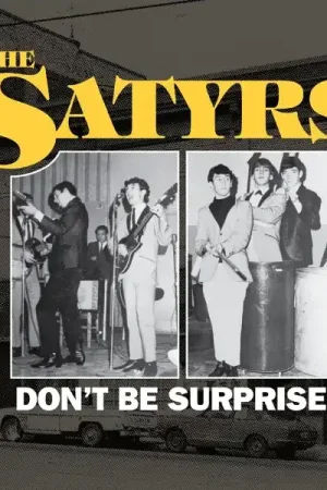 Satyrs - Don't Be Surprised (LP) Certified