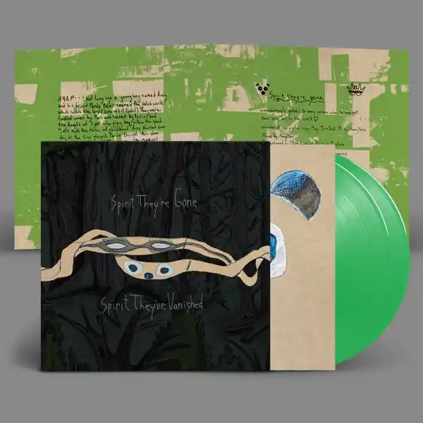 Flash Sale Animal Collective - Spirit They're Gone, Spirit They've Vanished (2 LPs)