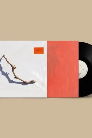 Best Price Pj Harvey - I Inside the Old Year Dying (LP)